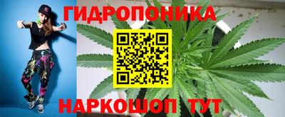шишки Гусь-Хрустальный