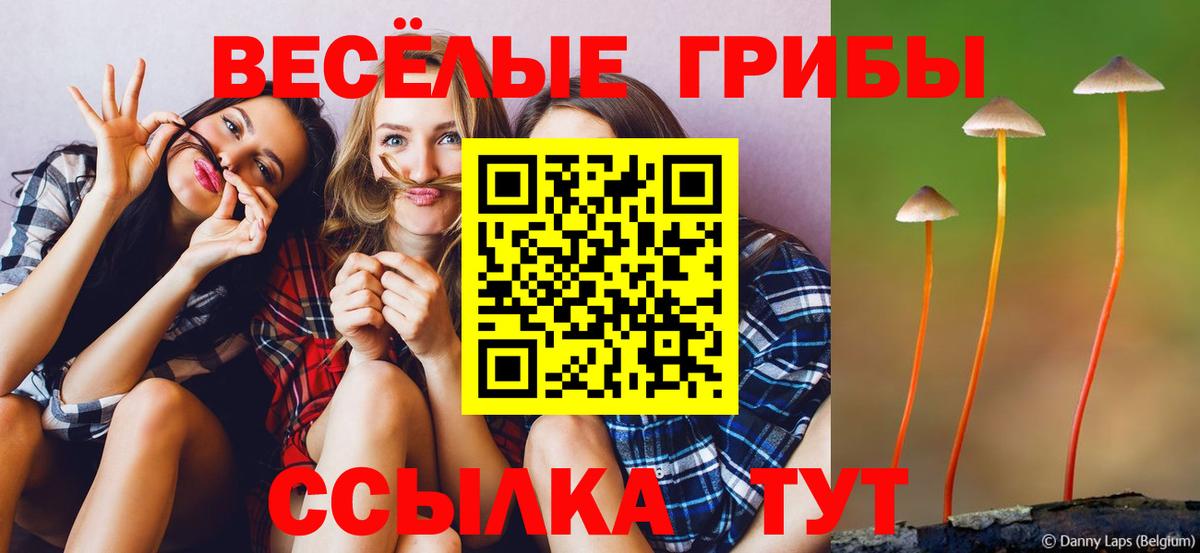 Псилоцибиновые грибы GOLDEN TEACHER Нижнекамск