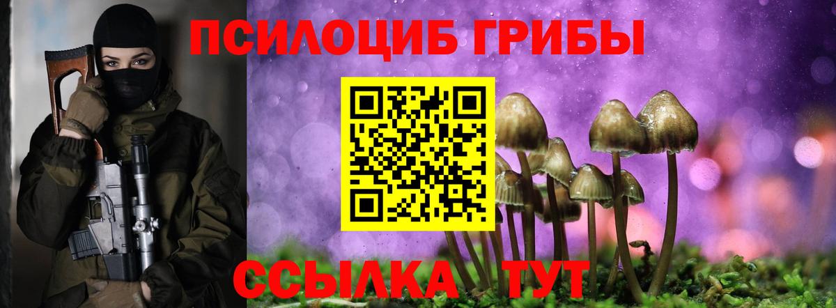 Галлюциногенные грибы Psilocybe  Псилоцибиновые грибы Magic Shrooms  Нижнекамск  Вход с VPN 